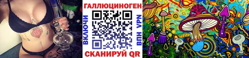 блэк спрут вход  Коряжма  Псилоцибиновые грибы ЛСД 