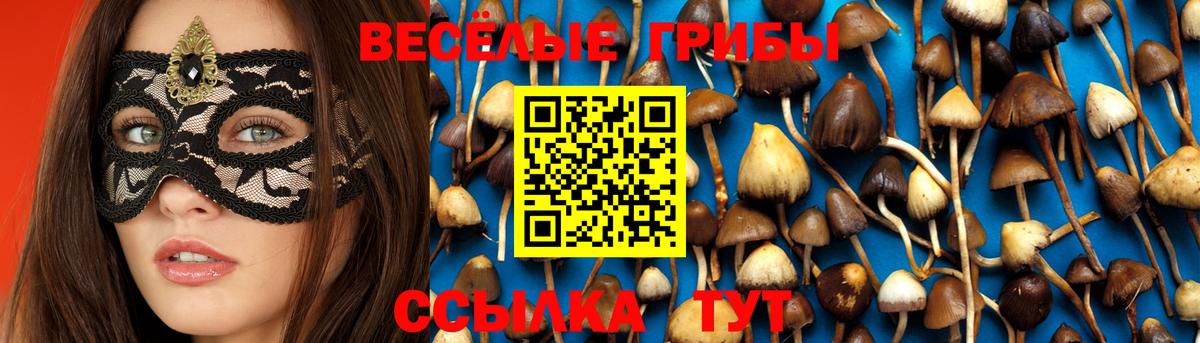 Галлюциногенные грибы Cubensis  Вход с VPN  Коряжма 
