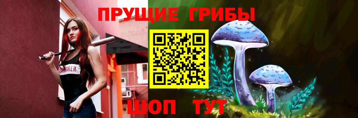 Псилоцибиновые грибы GOLDEN TEACHER Коряжма